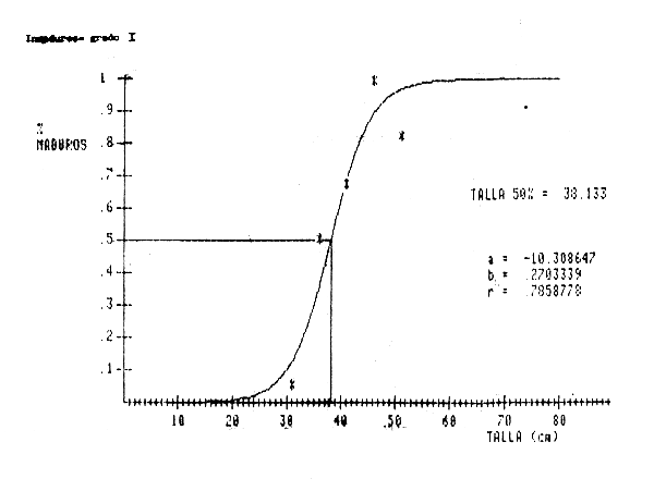 Figura 7