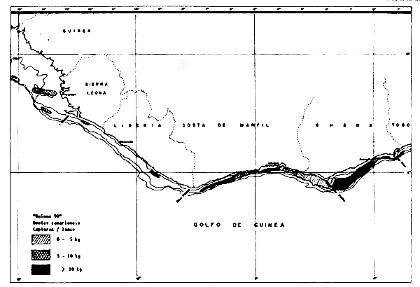 Figura 5