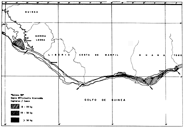 Figura 1