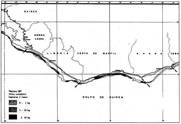 Figura 5