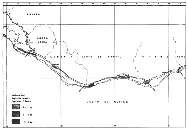 Figura 6