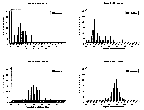 Fig. 11