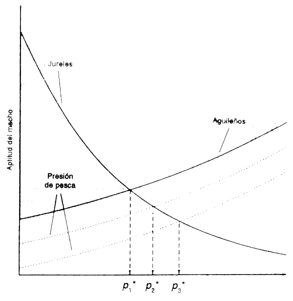 Figura 5