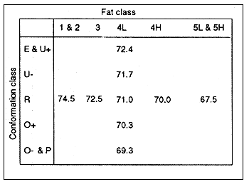 Figure 6.6