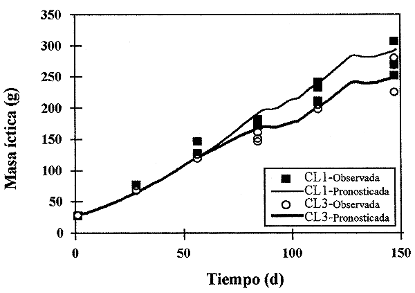 Figura A3.1