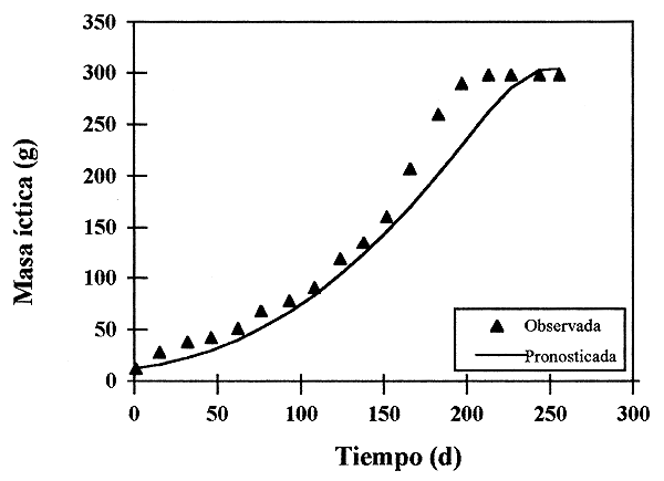 Figura A3.2