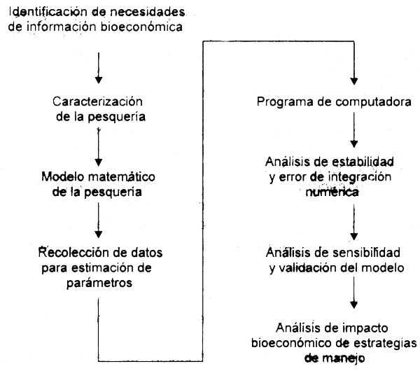 Figura 5.1