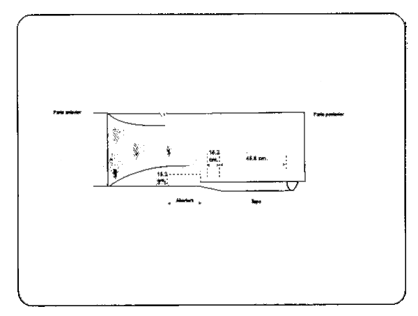 Figura 35