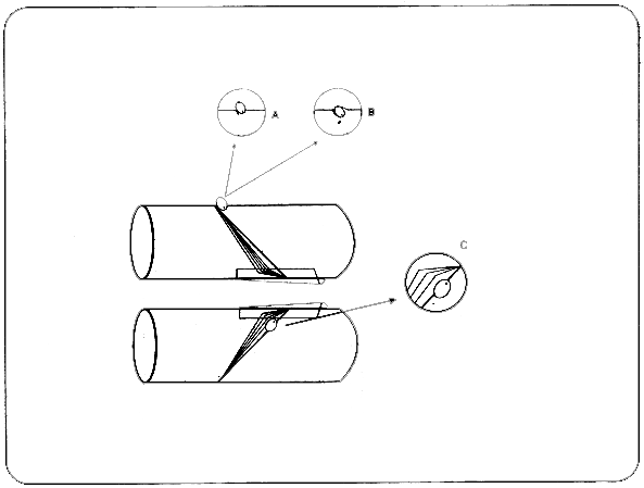 Figura 36