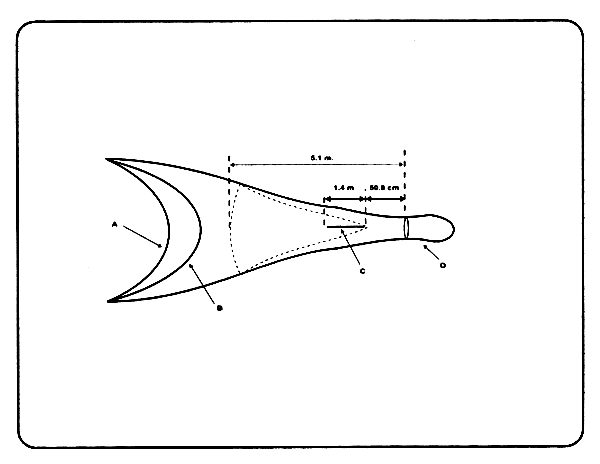 Figura 39