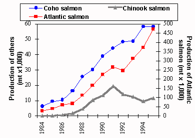 Figure 1.1.2.17 Global production of key cultured salmon species