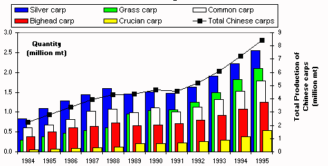 Figure 1.1.2.8 Global production of Chinese and common carps