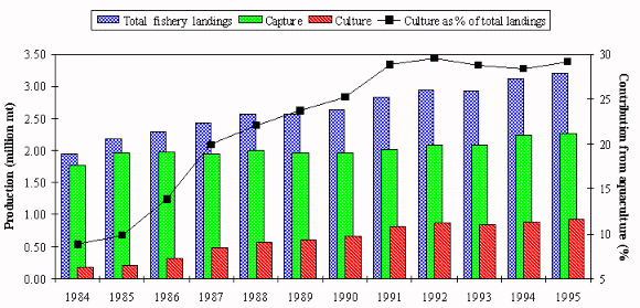 Figure 1.1.2.10 Contribution of cultured shrimps and prawns to total global landings