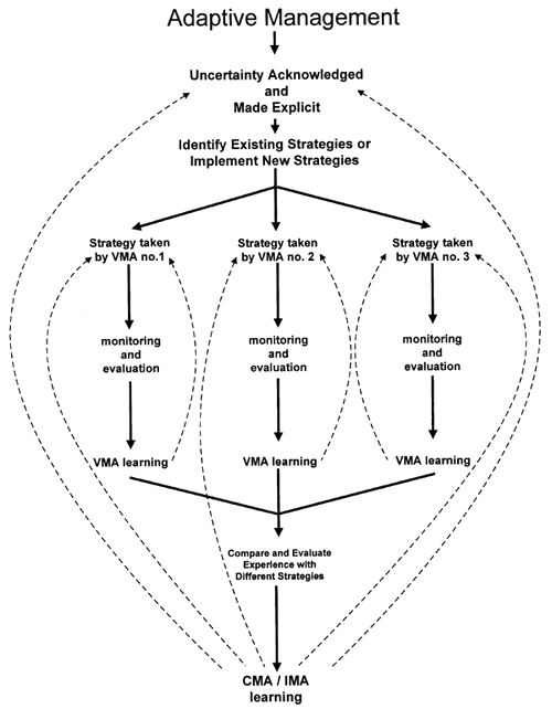 Figure 4.3