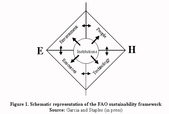 Schematic representation