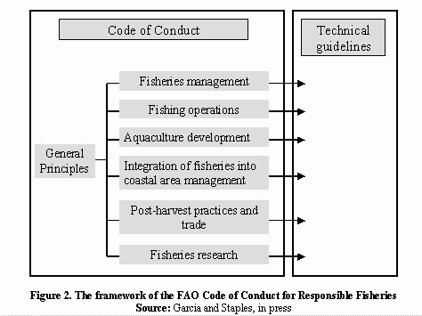 CCRF framework