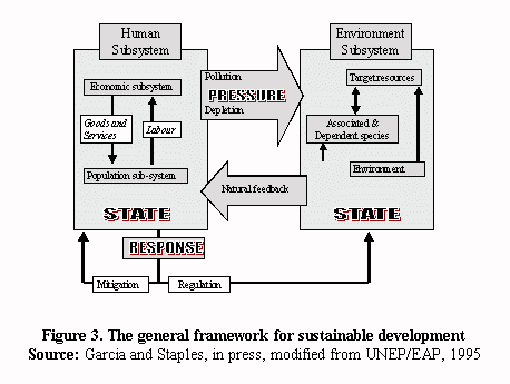 General framework