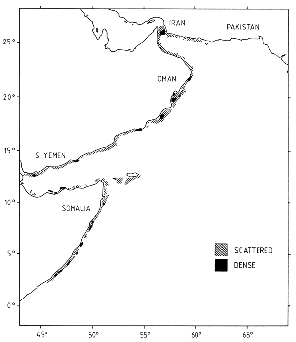 Figure 3.13