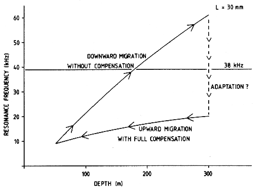 Figure 3.19