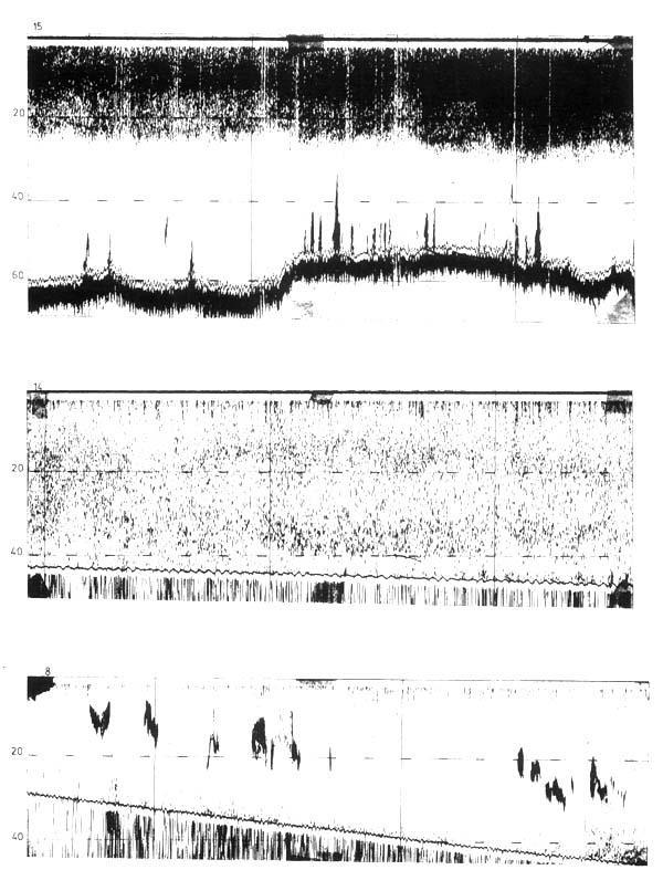 Figure 4.5