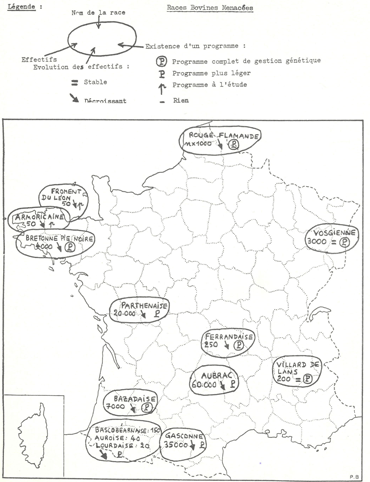 animal genetic resources
conservation and management