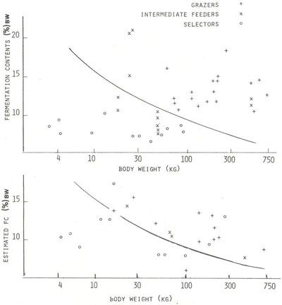 animal genetic resources conservation and management