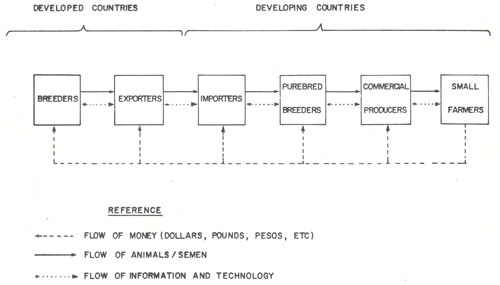 animal genetic resources
conservation and management