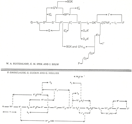 animal genetic resources conservation and management