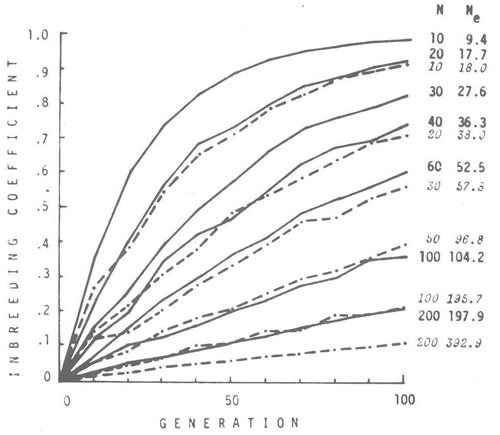 animal genetic resources conservation and management