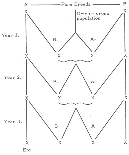 animal genetic resources
conservation and management