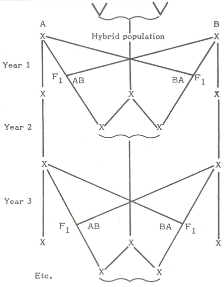 animal genetic resources
conservation and management