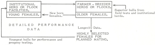 animal genetic resources
conservation and management