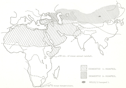 animal genetic resources
conservation and management