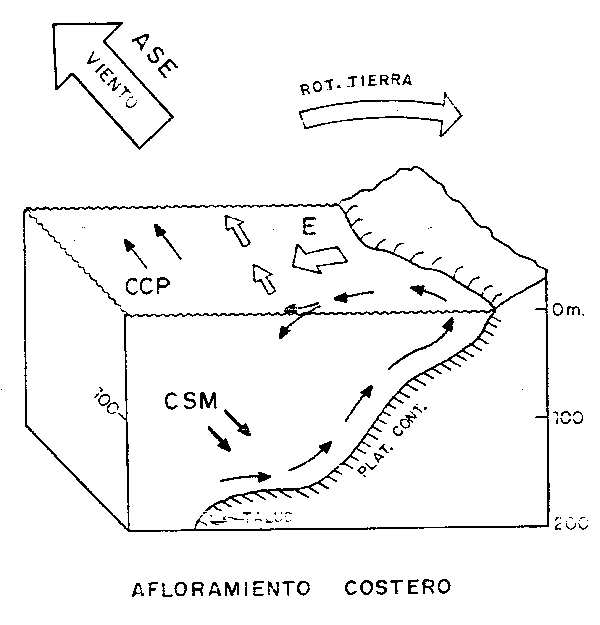 Fig. 18