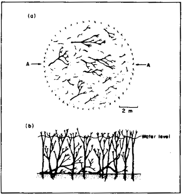 Fig.7