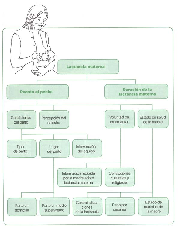 Figura 2