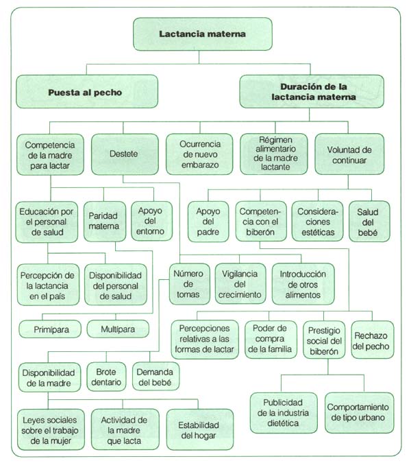 Figura 3