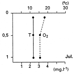 Fig. 28