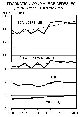 Undisplayed Graphic