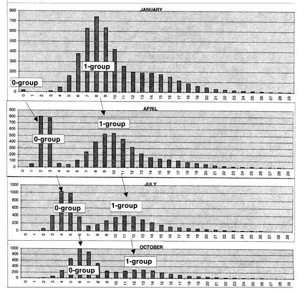 Figure 3.2.3