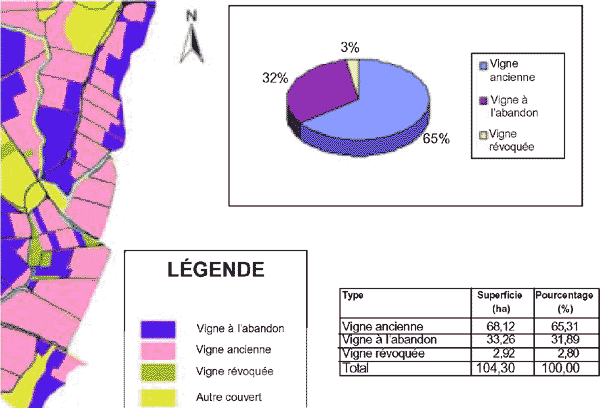 État de la vigne dans la région de Sandanski, sur la base des données à très haute résolution obtenues par le satellite IKONOS (acquisition: août 2000)