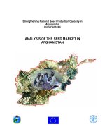 ANALYSIS OF THE SEED MARKET IN AFGHANISTAN