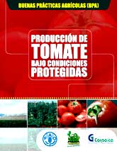 Buenas pácticas agrícolas - BPA en la producción de tomate bajo condiciones protegidas