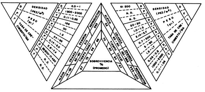 FIG. 20