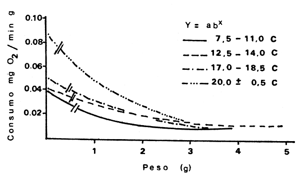 Figura 5