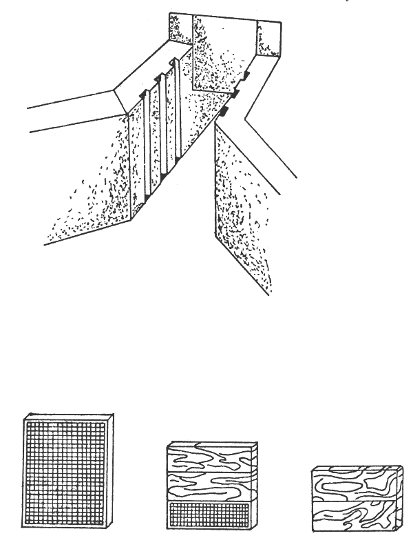 Figura 10