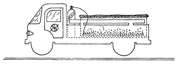 Figura 12