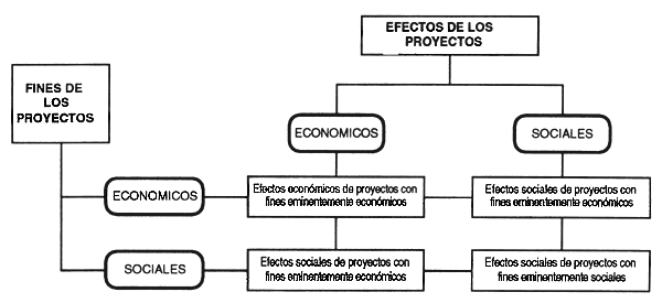 Figura 7