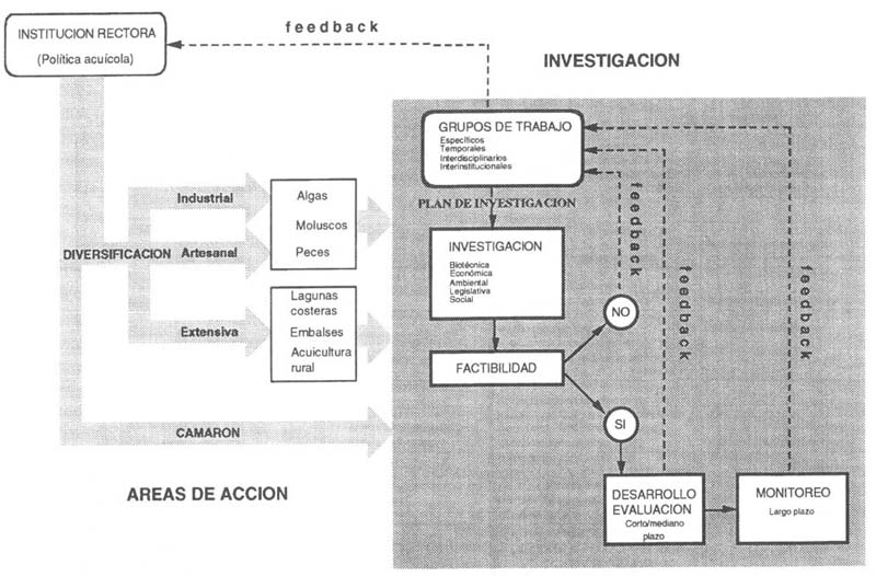 FIGURA 1