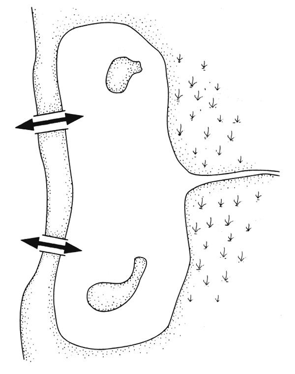 Figura 6.1.